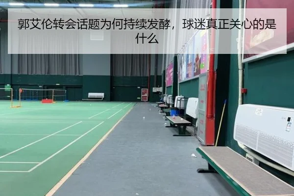 郭艾伦转会话题为何持续发酵，球迷真正关心的是什么（leyu）